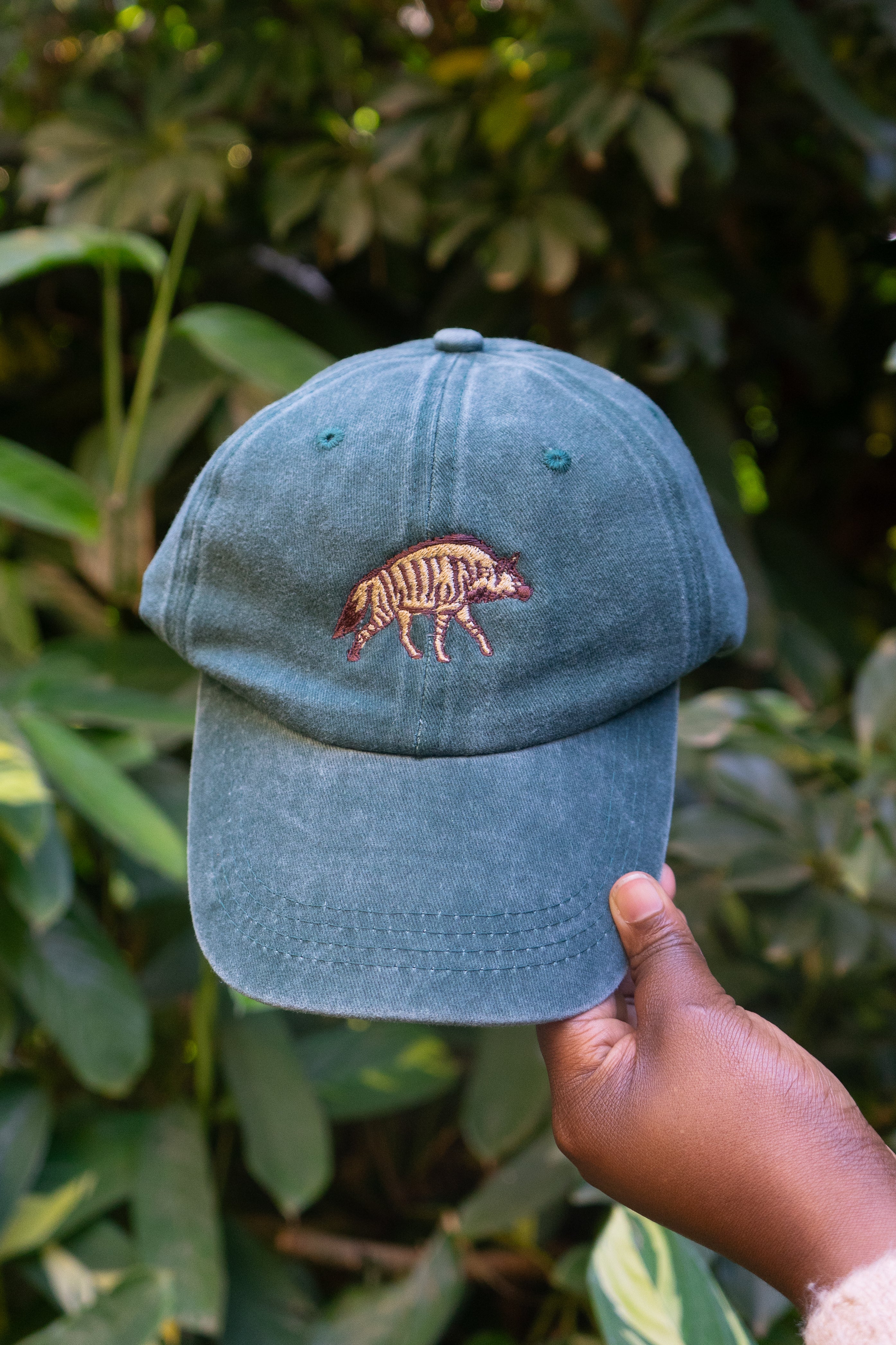 The Aardwolf Cap